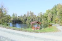 Gencsapáti halastó